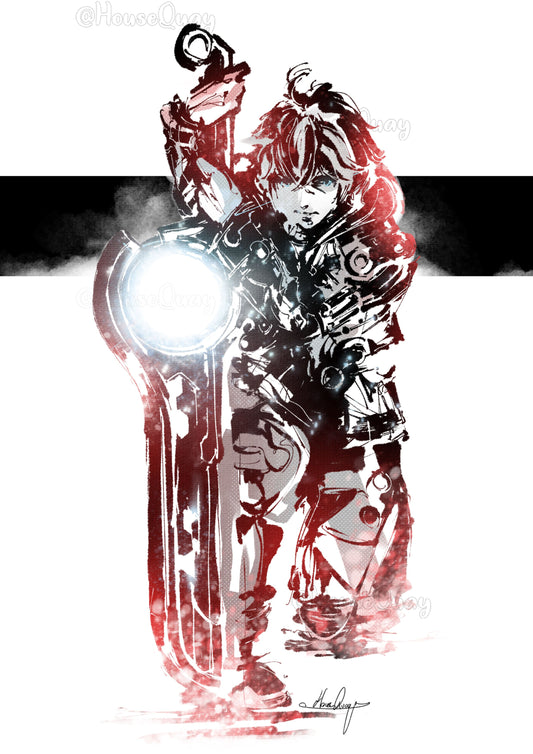 Shulk print